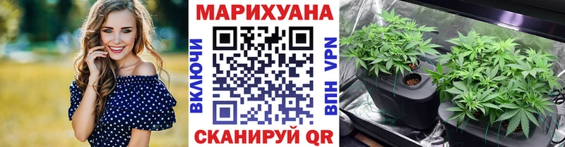 Марихуана THC 21%  купить наркоту  Южно-Сухокумск 